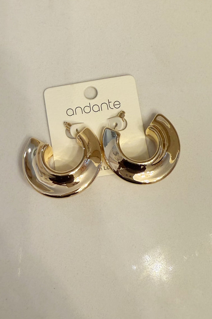 Gold hoop Earrings