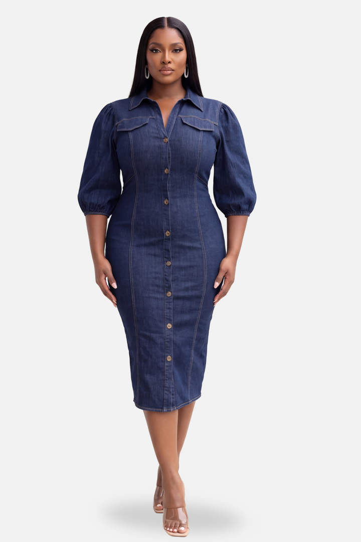 The Dakota Denim Dress [DarkWash]