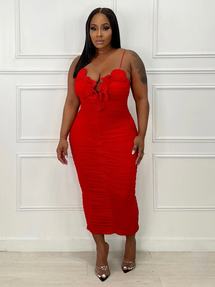 Roses Are Red Mesh Midi Dress (Red)