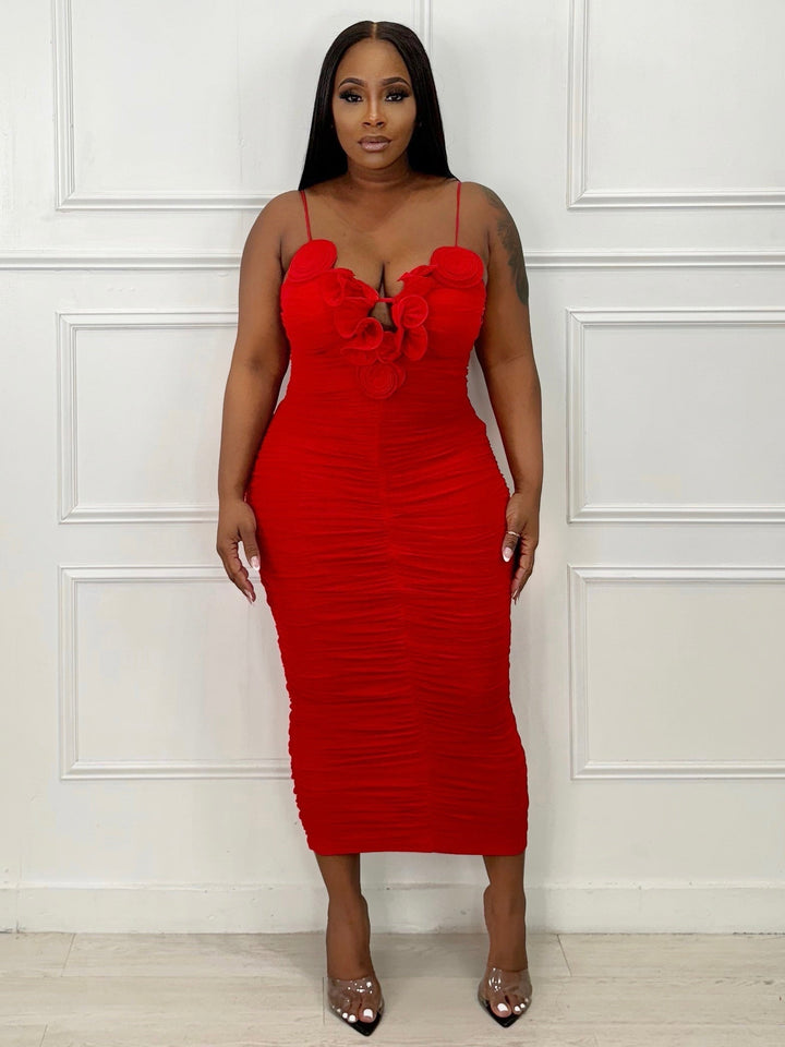 Roses Are Red Mesh Midi Dress (Red)
