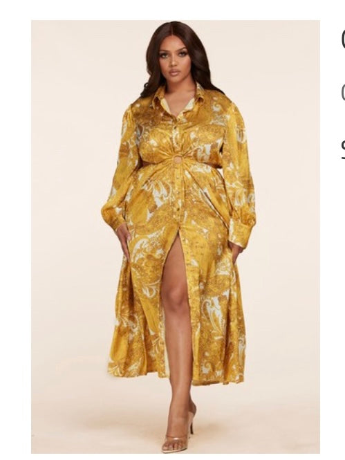 Paisley Printed silk Dress (Mustard)
