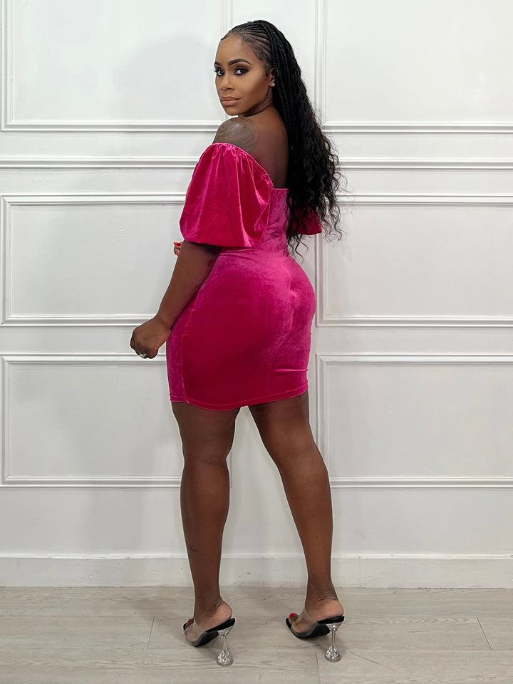 True Velvet BodyCon dress(pink)